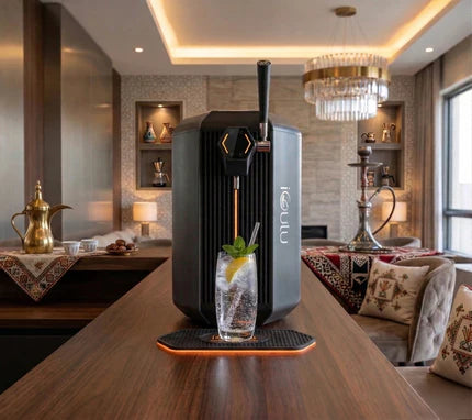 Sparkling Ice Drink Maker SSI1