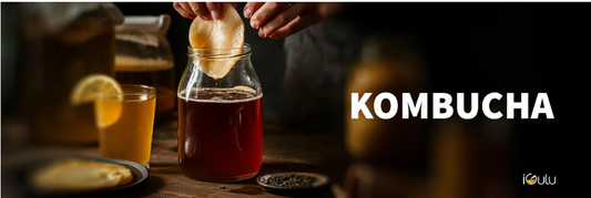 Easy Steps for Home Made Ginger Honey Kombucha